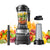 Professional High Power Blender BL10