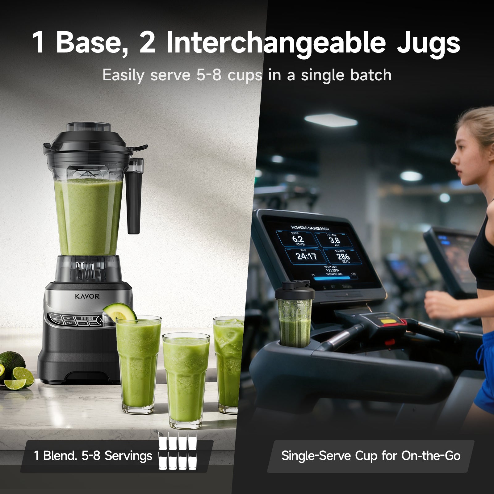 Professional High Power Blender BL10